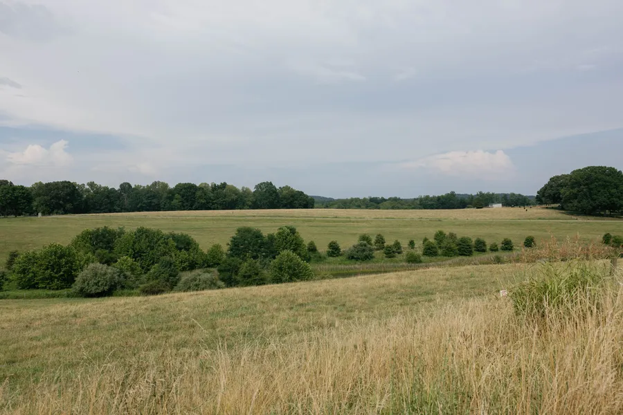 Wide open pasture at Maranatha Farms bordered by trees